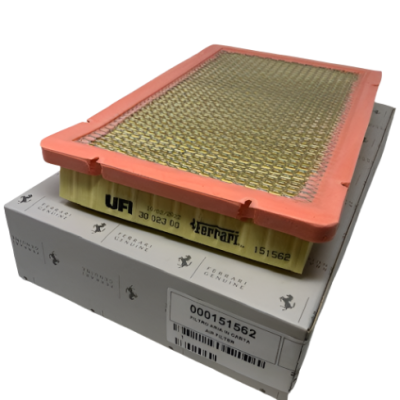 Ferrari F355/550 Air Filter