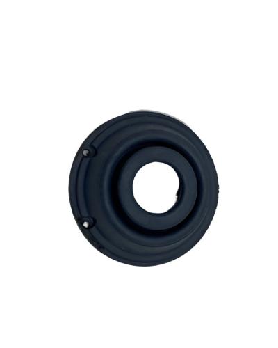 Ferrari Seeger With Cover