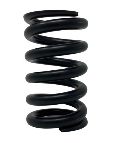 Ferrari Suspension Spring