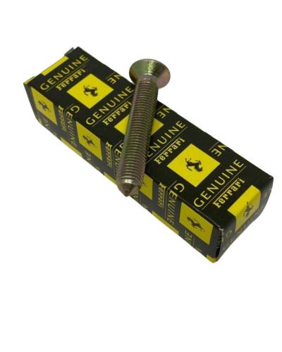 Ferrari Screw