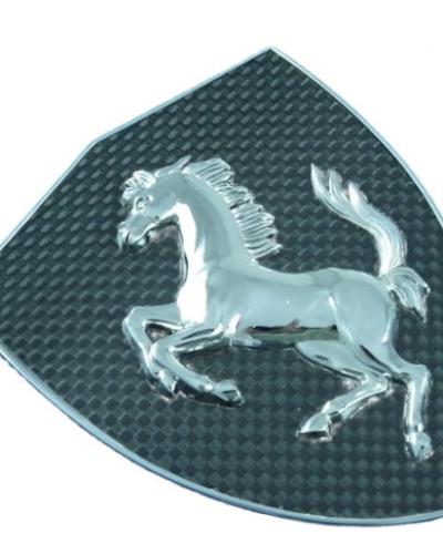 Ferrari California Carbon Fiber Fender Shield
