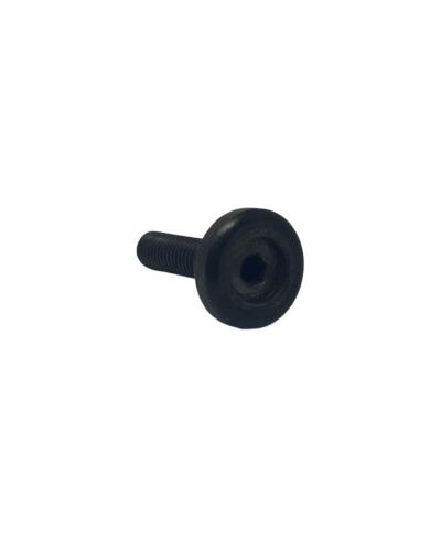 Ferrari Screw 5X0.8x20