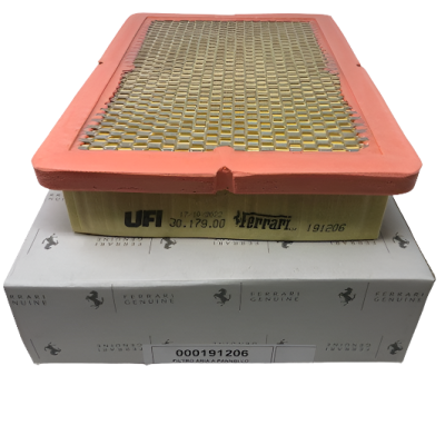 Ferrari F430 Air Filter