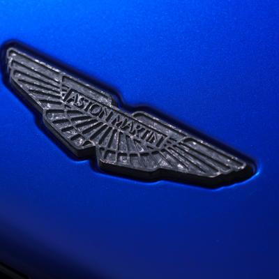 Carbon Fiber Wings Badge