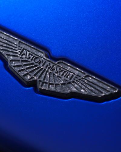 Carbon Fiber Wings Badge