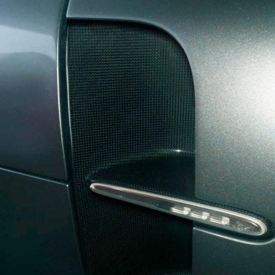 Ferrari Monza Carbon Fiber Fender Vents