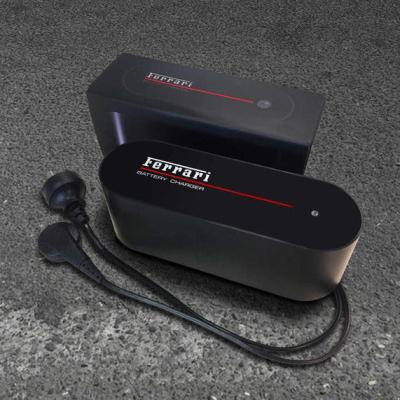 Ferrari Battery Conditioner