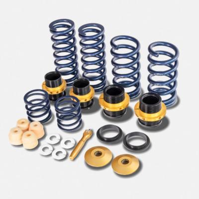 Ryft Lamborghini Huracan (Mag-Ride) Performance Spring Kit
