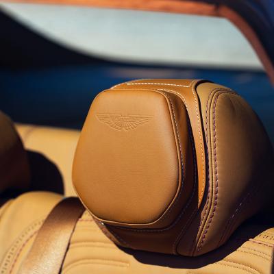 Aston Martin DBX Expressions Pack