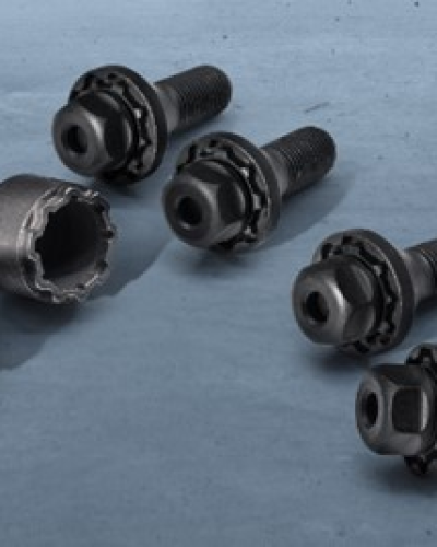 Maserati Security Bolts
