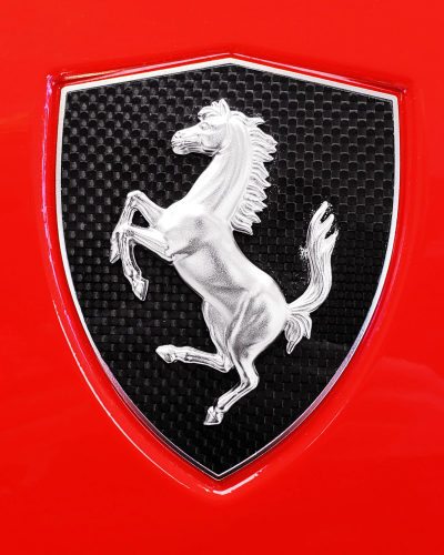 Ferrari 360 & F430 Scuderia Carbon Fender Shield