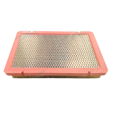 Ferrari 360 Air Filter